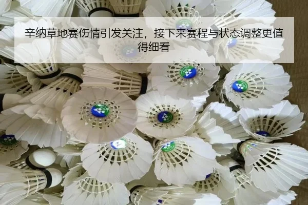 辛纳草地赛伤情引发关注，接下来赛程与状态调整更值得细看